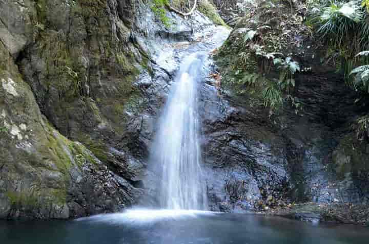 �₪���̑�